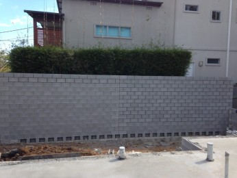 Copy of IMG_1336 (1)